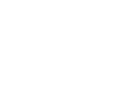 FUGGERSTADT VOLT